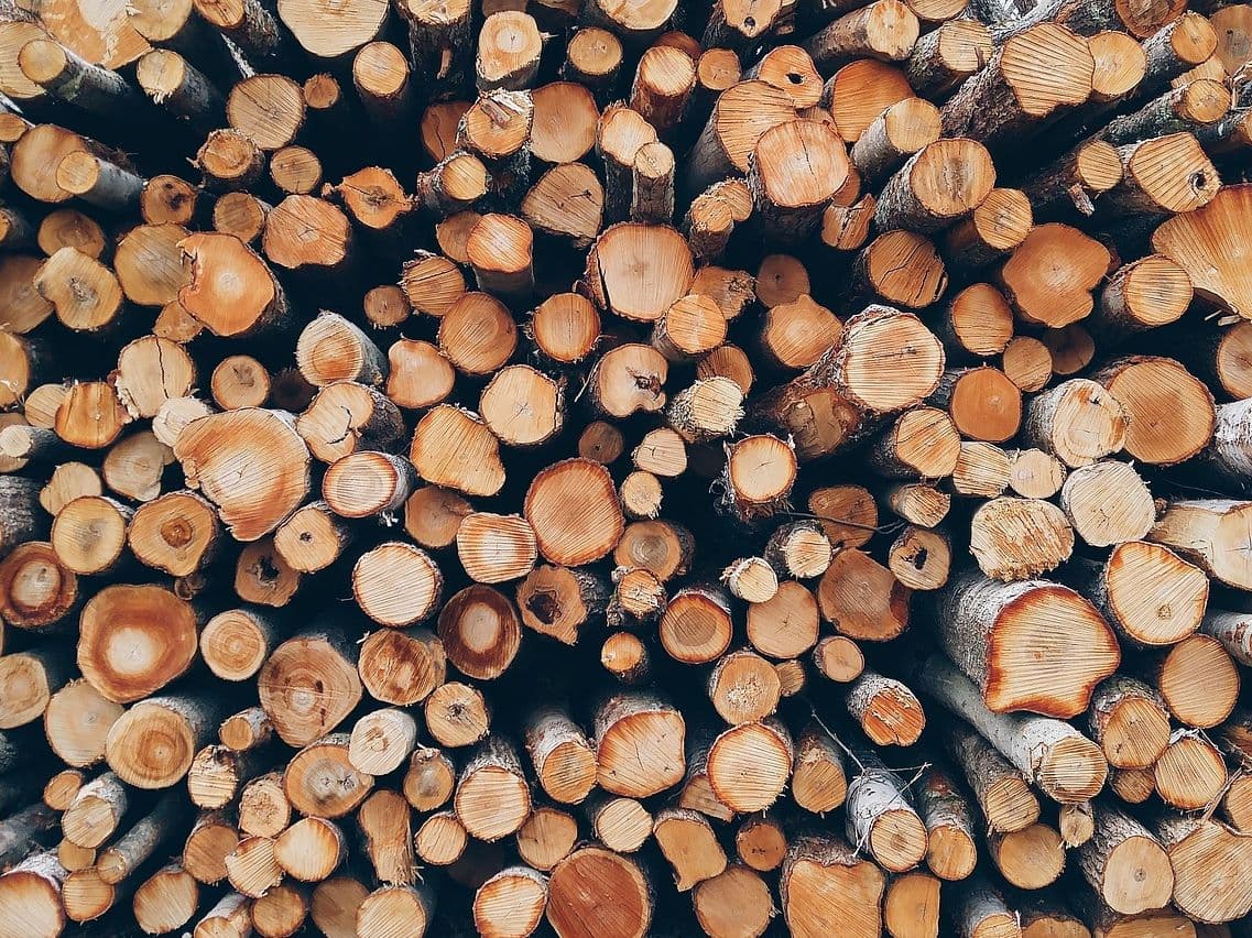 Forestry Export Management Platform